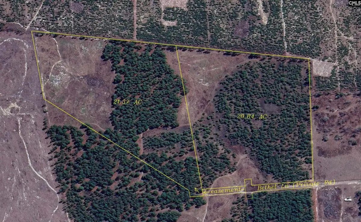 0 Bethel Lane, Leesville, SC 29070 - Image #1