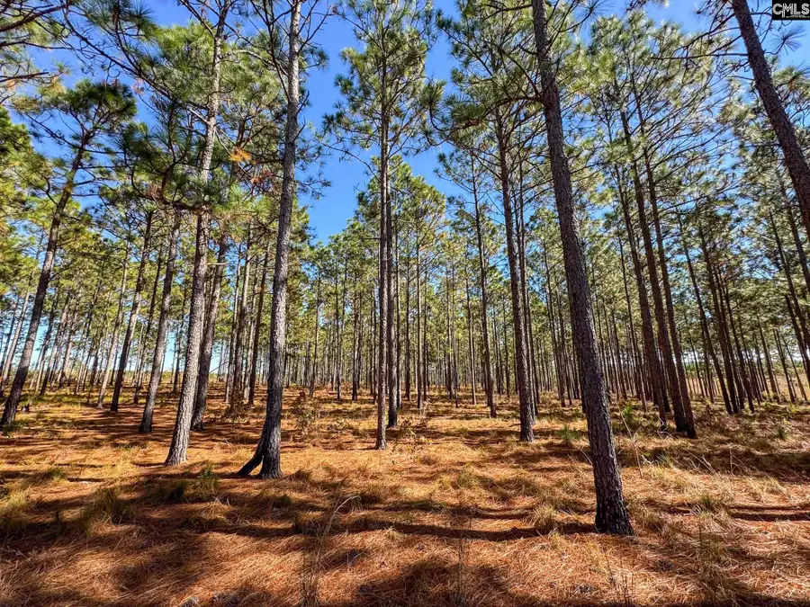 0 Bethel Lane, Leesville, SC 29070 - Image #2