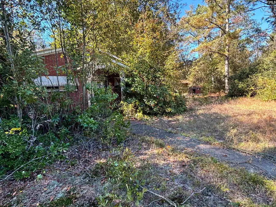 4433 Columbia Hwy N, Ridge Spring, SC 29129 - Image #3