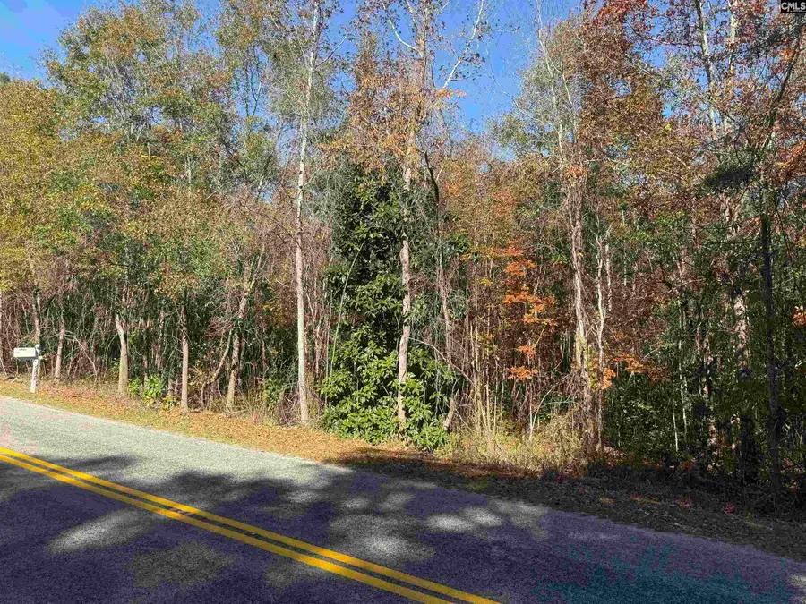 4686 Leesburg Road, Hopkins, SC 29061 - Image #2