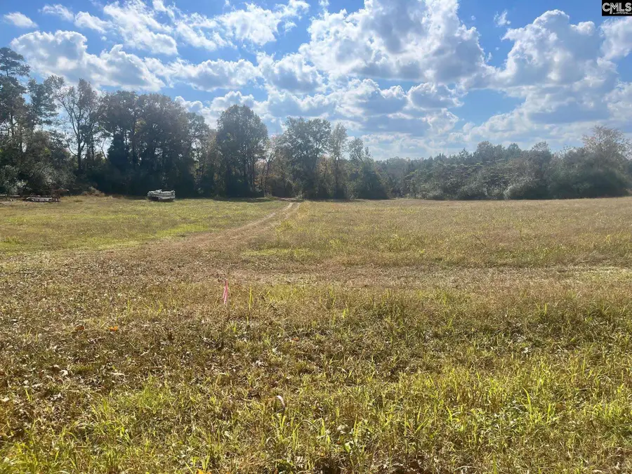 TBD Tom Moore Rd, Leesville, SC 29070 - Image #3