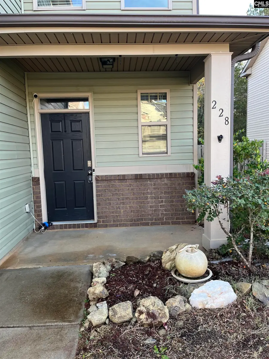 228 Bickley View Court, Chapin, SC 29036 - Image #3