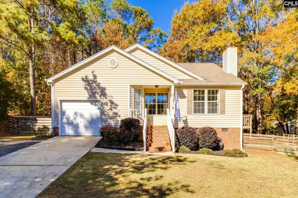 213 Firebridge Court, Chapin, SC 29036