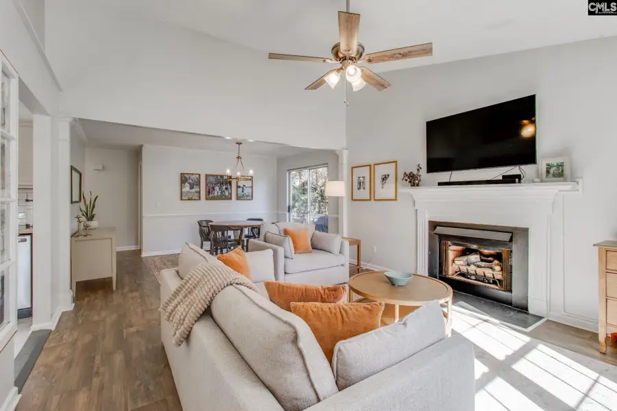 213 Firebridge Court, Chapin, SC 29036 - Image #2