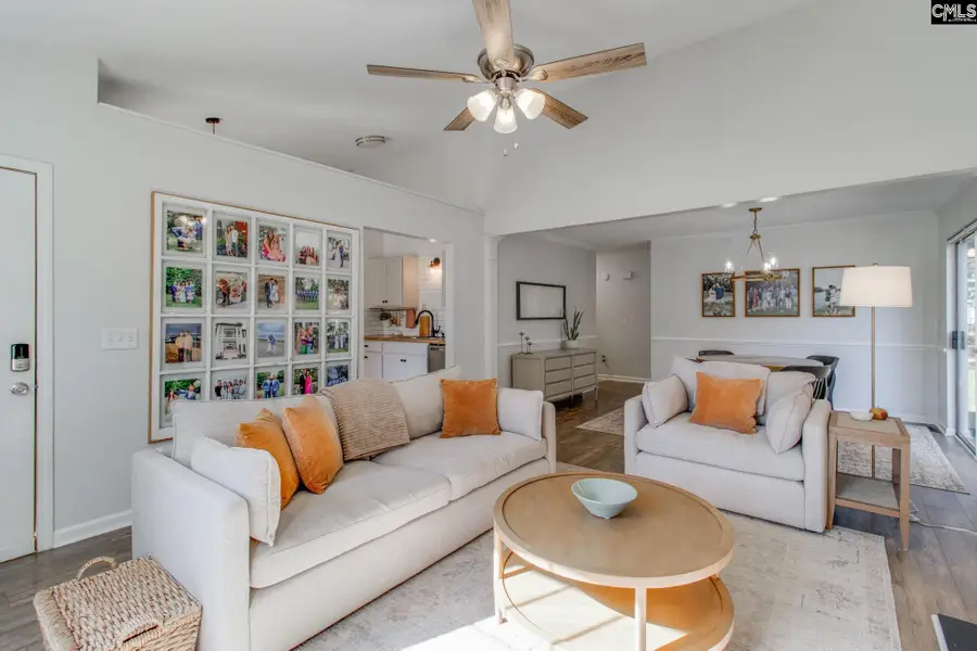 213 Firebridge Court, Chapin, SC 29036 - Image #3