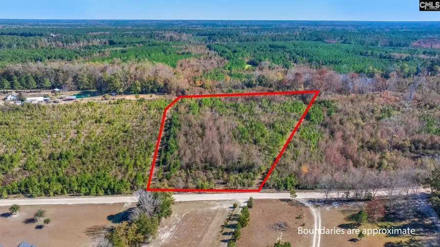 0 Proctor Road, Cope, SC 29038 - Image #3