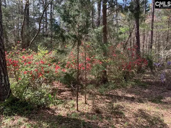 0 Eleazer (parcel C) Road, Irmo, SC 29063