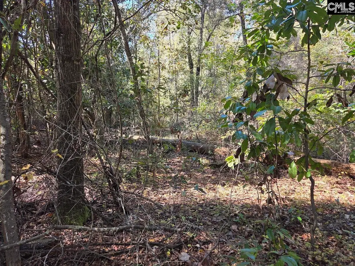 17 Five Bridges Road, Camden, SC 29020 - Image #1