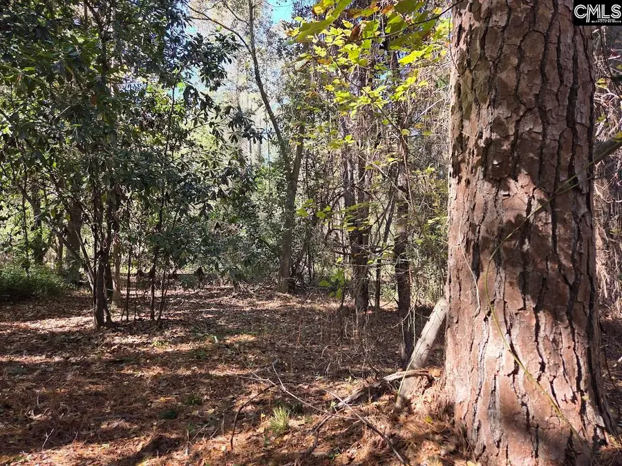 17 Five Bridges Road, Camden, SC 29020 - Image #3