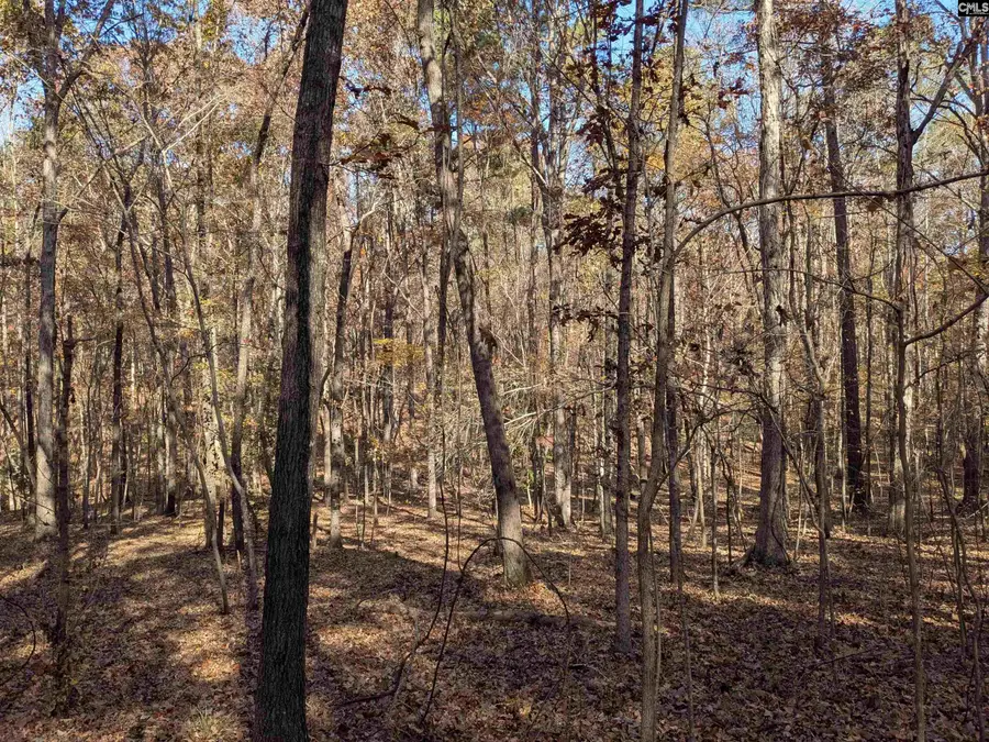 Baron Dekalb Road, Camden, SC 29020 - Image #3