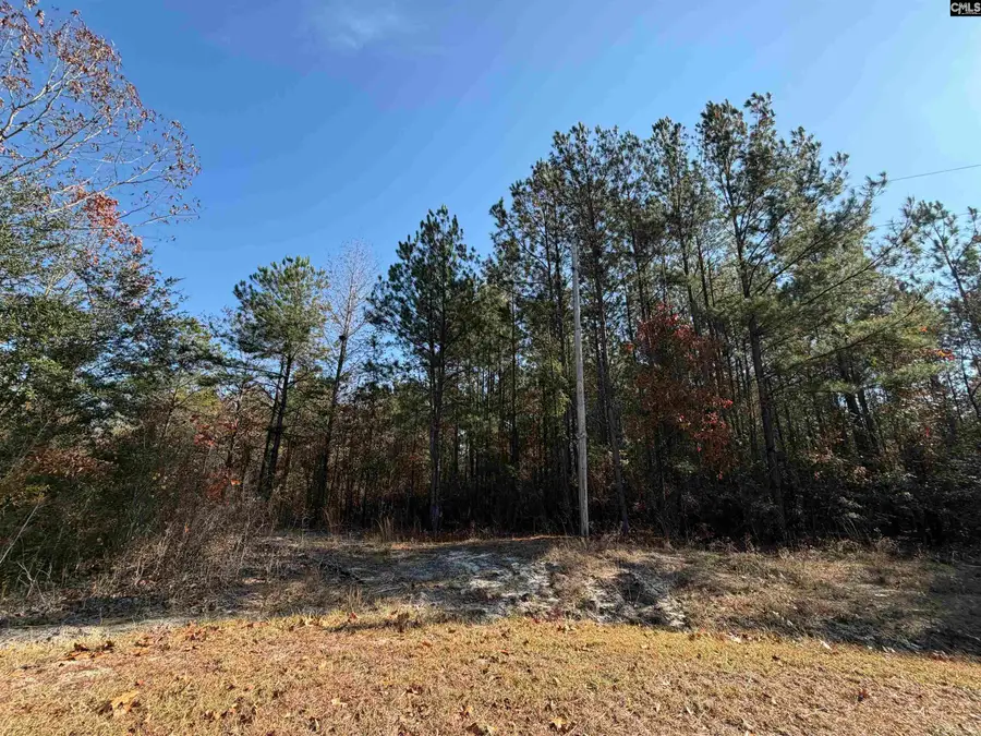 1043 Oakland Drive, Camden, SC 29020 - Image #3