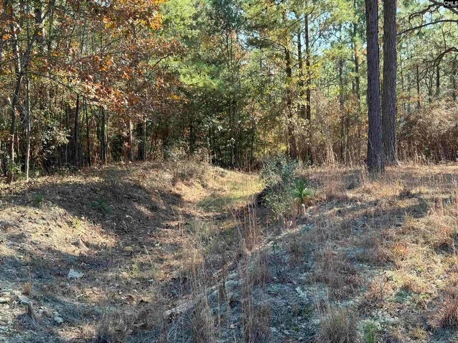 1031 Oakland Drive, Camden, SC 29020 - Image #2