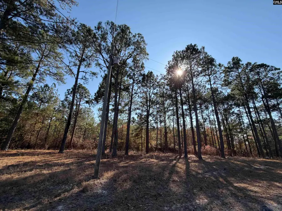 1031 Oakland Drive, Camden, SC 29020 - Image #3