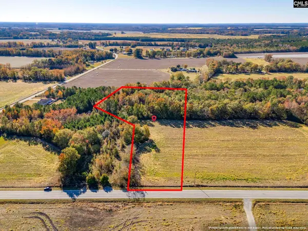 536 Elliott Highway, Bishopville, SC 29010