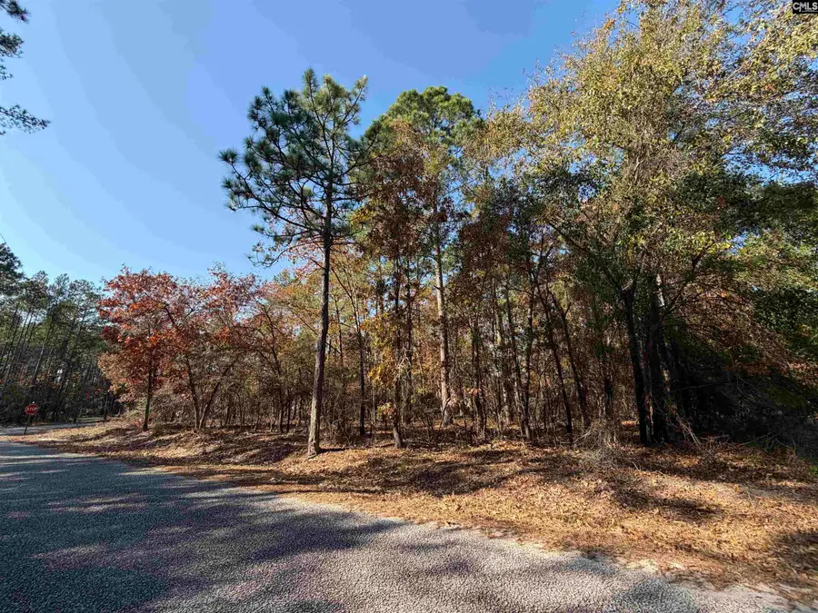 428 Pine Crest Street, Camden, SC 29020 - Image #2