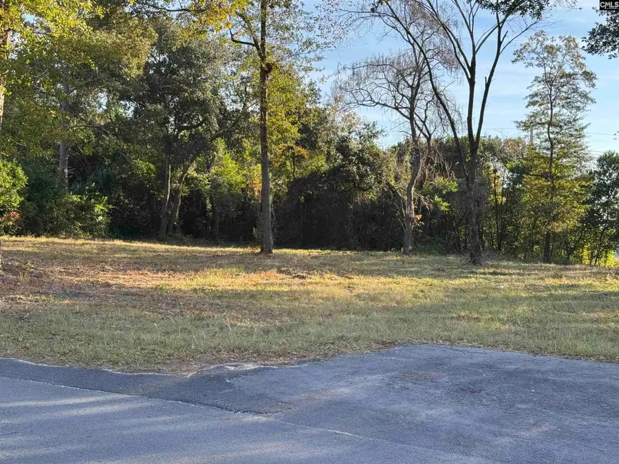 2024 Platt Springs Road, West Columbia, SC 29169 - Image #2