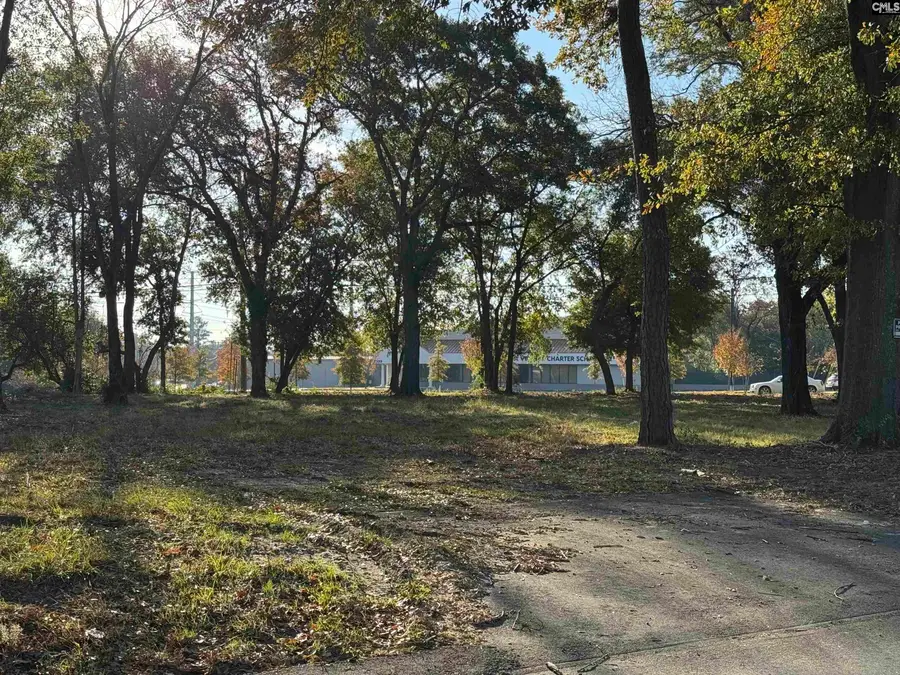 2024 Platt Springs Road, West Columbia, SC 29169 - Image #3