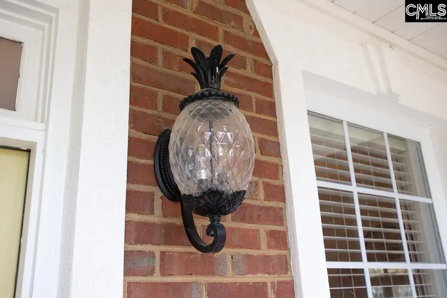 105 Linkside Court, Chapin, SC 29036 - Image #2