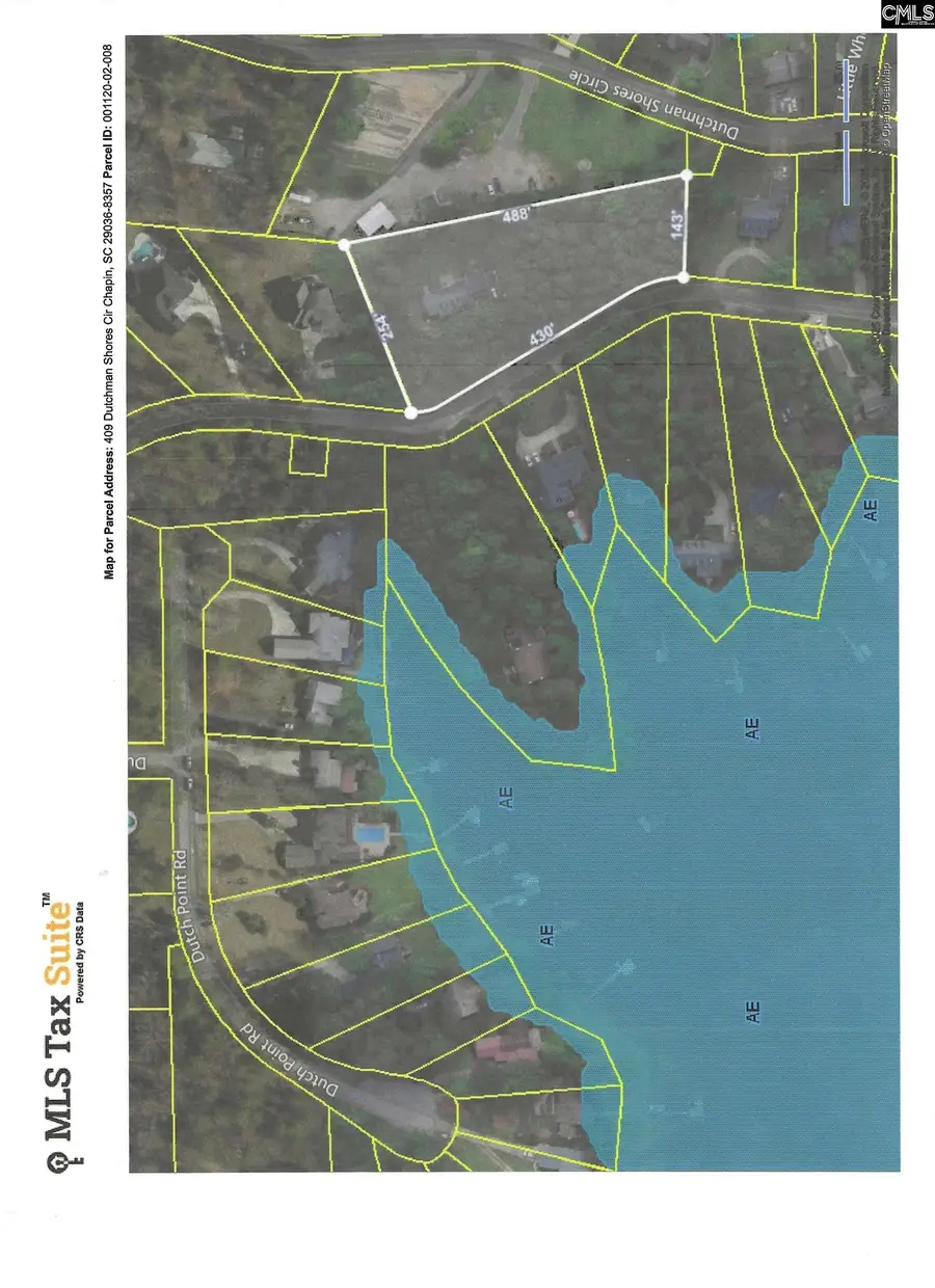 409 Dutchman Shores Circle, Chapin, SC 29036 - Image #3