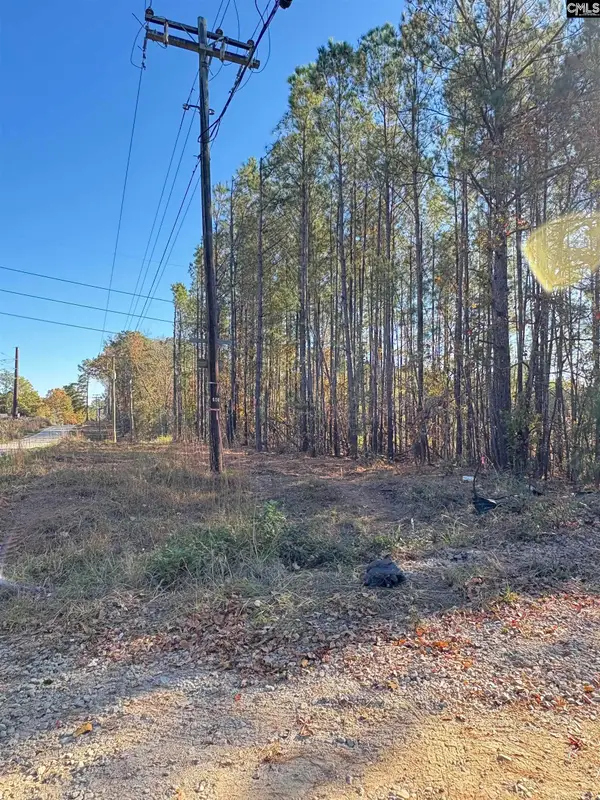 1236 Crane Church Road, Columbia, SC 29203