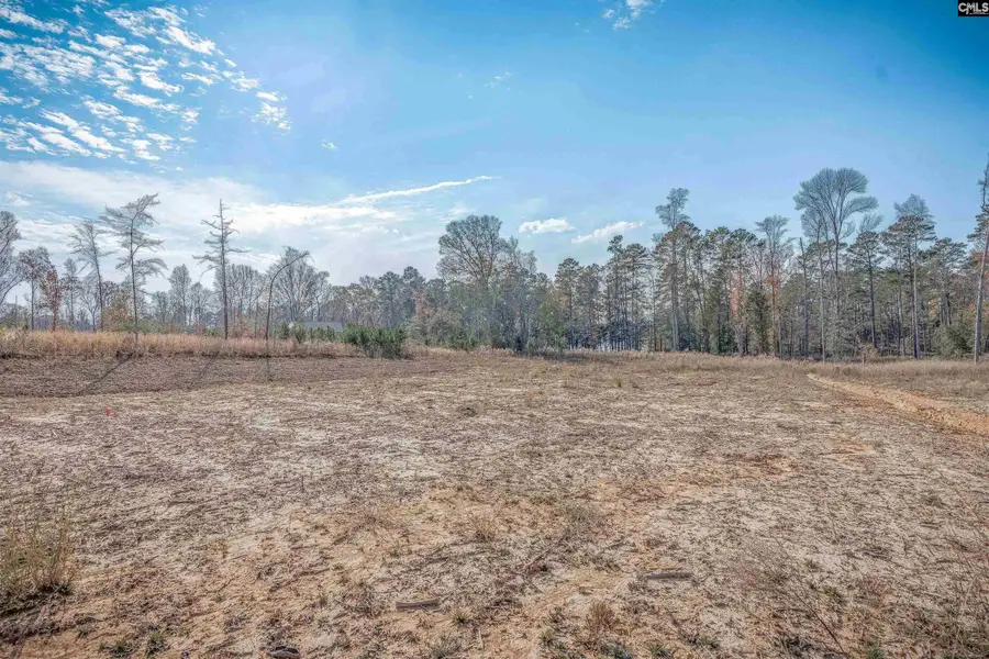 LOT 229 Lands End Lane, Prosperity, SC 29127 - Image #3
