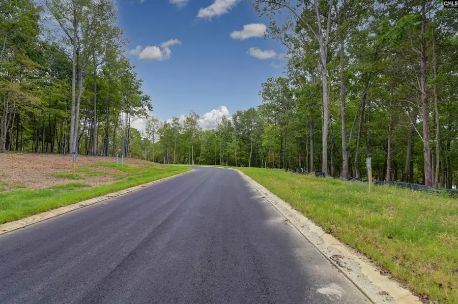 1068 Refuge Pl, Chapin, SC 29036 - Image #2