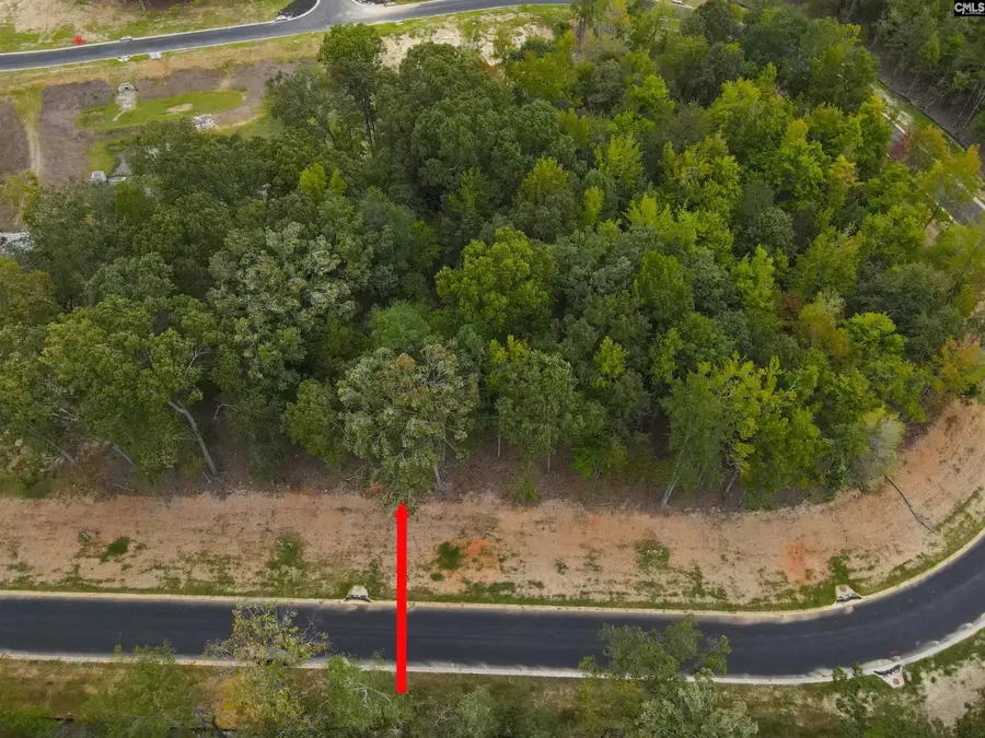 1068 Refuge Pl, Chapin, SC 29036 - Image #3