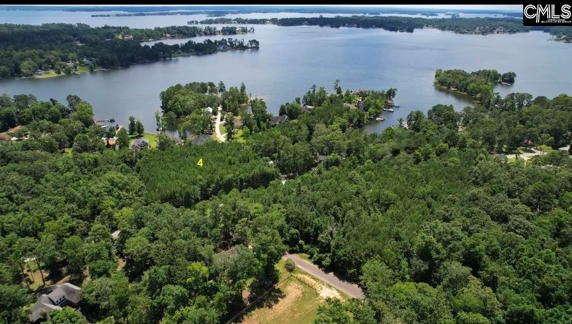 0 Three Point Rd, Chapin, SC 29036 - Image #1