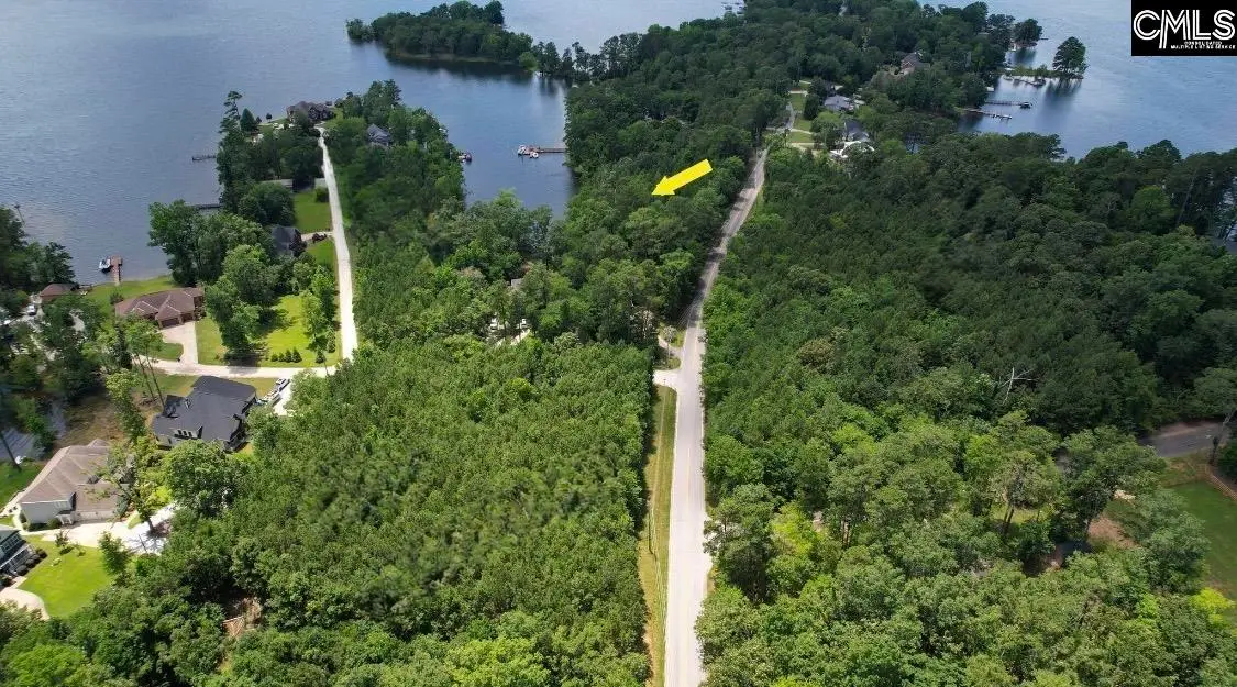 lot 2 St.thomas Church Road, Chapin, SC 29036 - Image #1