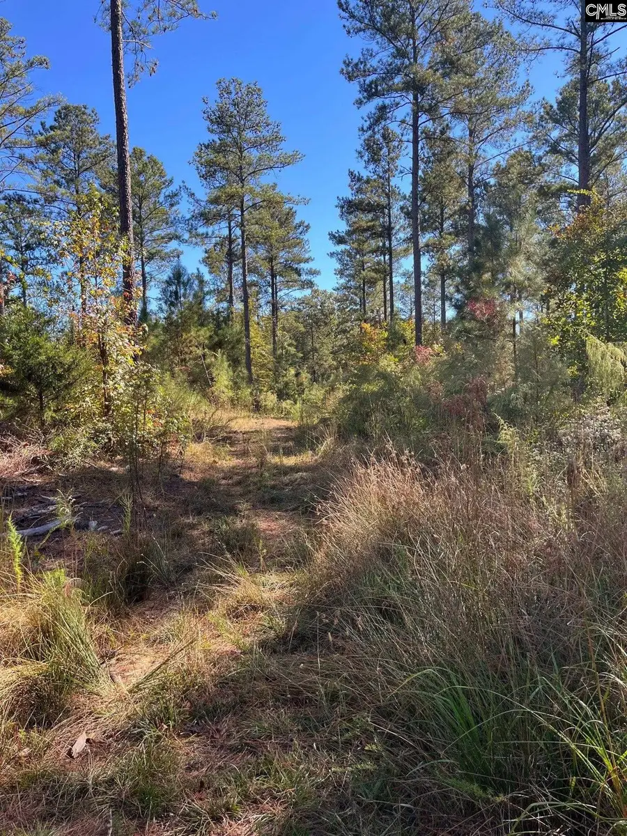 DRF 2 Dawkins Road #DRF 2, Pacolet, SC 29372 - Image #3