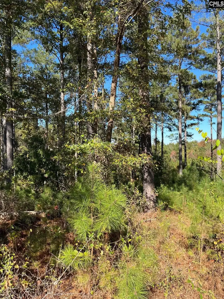 DRF 3 Dawkins Road #DRF 3, Pacolet, SC 29372 - Image #2