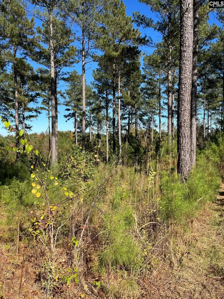 DRF 3 Dawkins Road #DRF 3, Pacolet, SC 29372 - Image #3