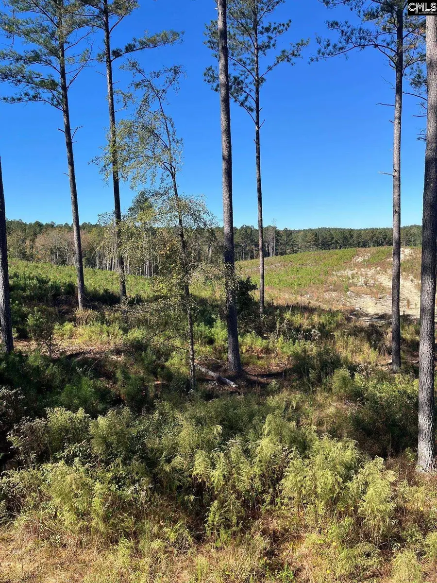 DRF 5 Dawkins Road #DRF 5, Pacolet, SC 29372 - Image #2