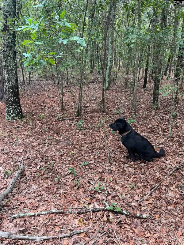 BHL 2 Boise Cascade Road #BHL 2, Bethune, SC 29009