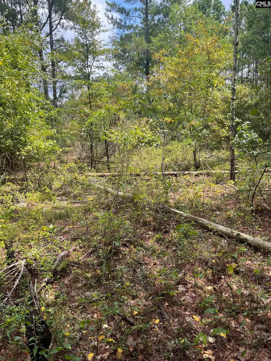 BHL 2 Boise Cascade Road #BHL 2, Bethune, SC 29009 - Image #3