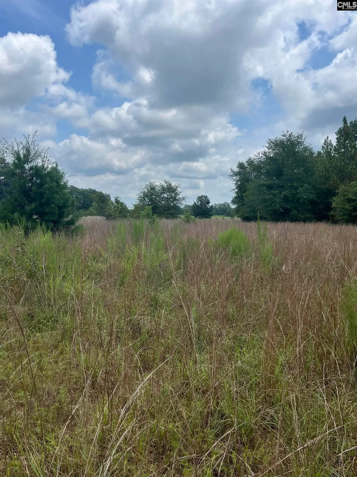 BHL 3 Boise Cascade Road #BHL 3, Bethune, SC 29009 - Image #1