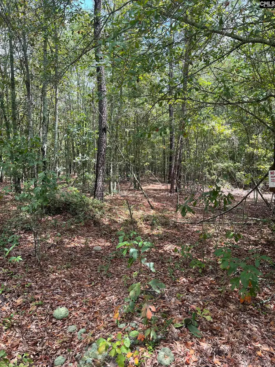 BHL 3 Boise Cascade Road #BHL 3, Bethune, SC 29009 - Image #2