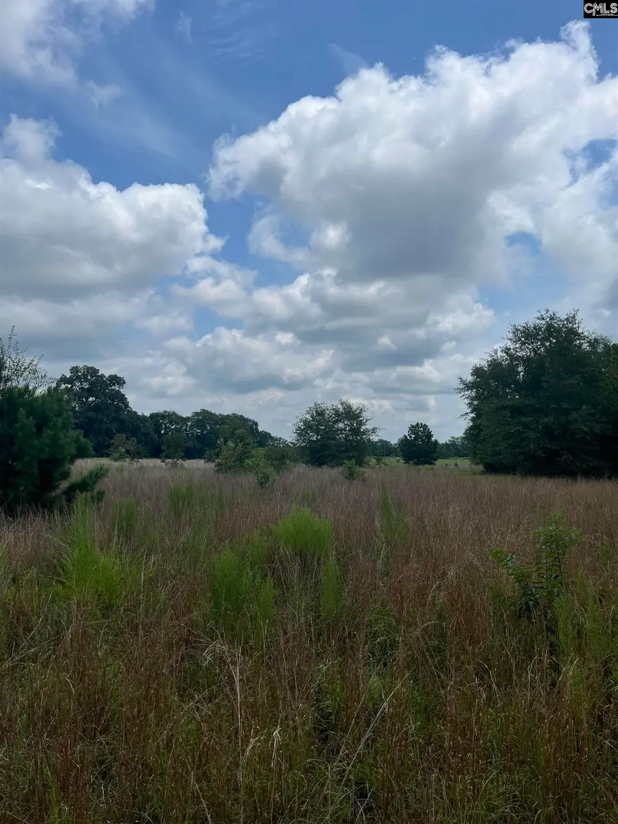 BHL 3 Boise Cascade Road #BHL 3, Bethune, SC 29009 - Image #3