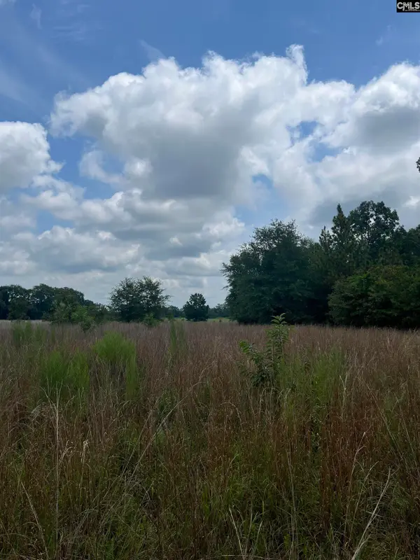 BHL 4 Boise Cascade Road #BHL 4, Bethune, SC 29009