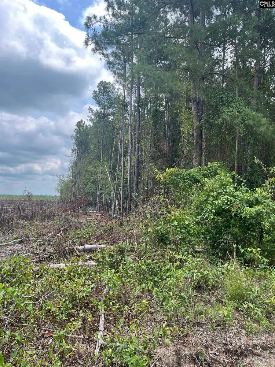 BHL 4 Boise Cascade Road #BHL 4, Bethune, SC 29009 - Image #2