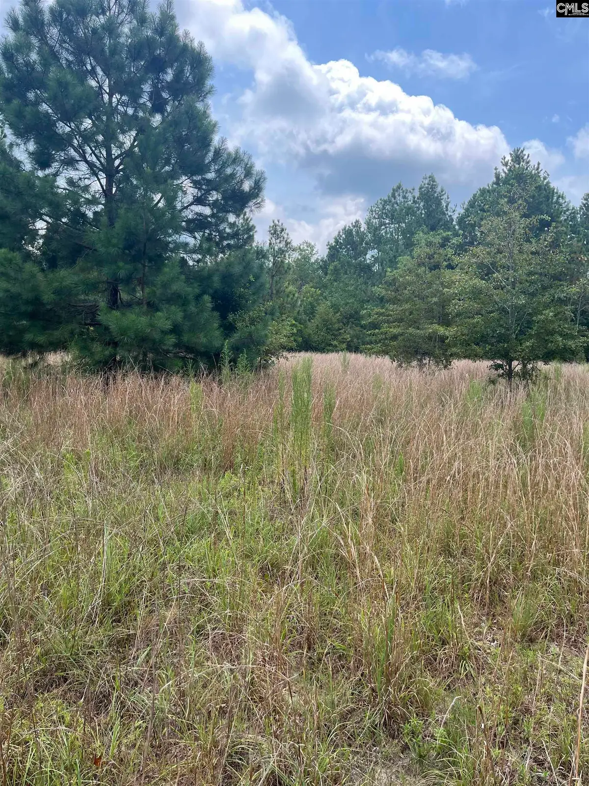 BHL 8 Boise Cascade Road #BHL 8, Bethune, SC 29009 - Image #1