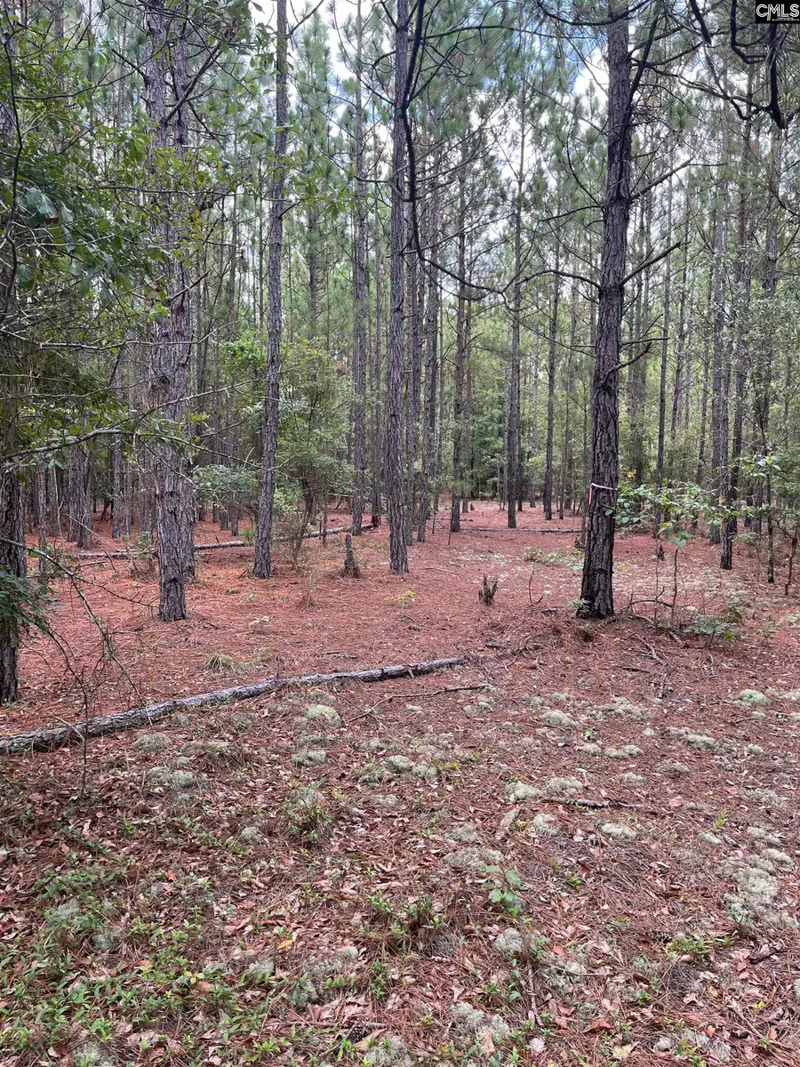 BHL 8 Boise Cascade Road #BHL 8, Bethune, SC 29009 - Image #3