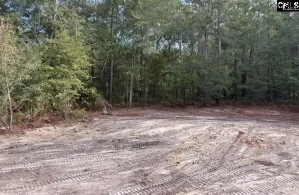 128 Aiken Craft Road, Pelion, SC 29123 - Image #1