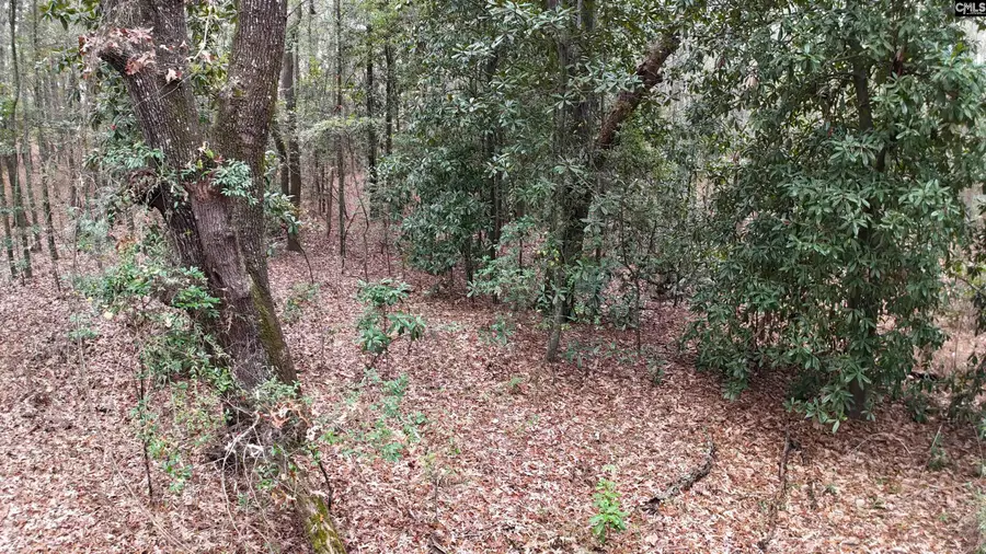 1319 Lakeshore Drive, Camden, SC 29020 - Image #2