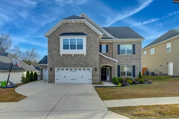 142 Almofini Lane, Chapin, SC 29036