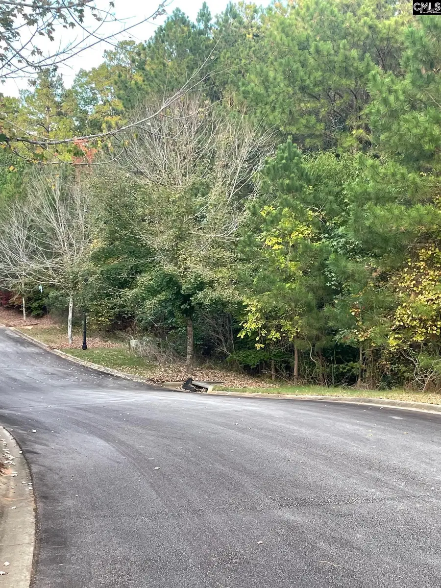 518 Doko Court, Blythewood, SC 29016 - Image #2