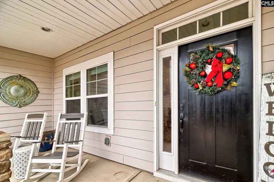 249 Daymark Drive, Chapin, SC 29036 - Image #3