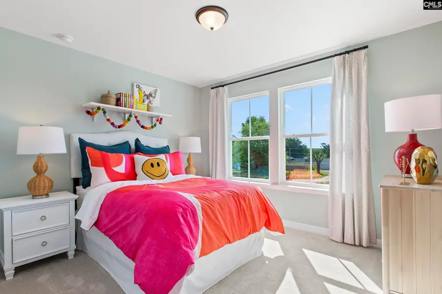 230 Horse Farm Place, Lexington, SC 29072 - Image #3