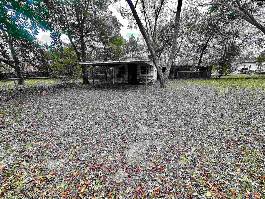 1069 Chestnut Street, Orangeburg, SC 29115 - Image #3