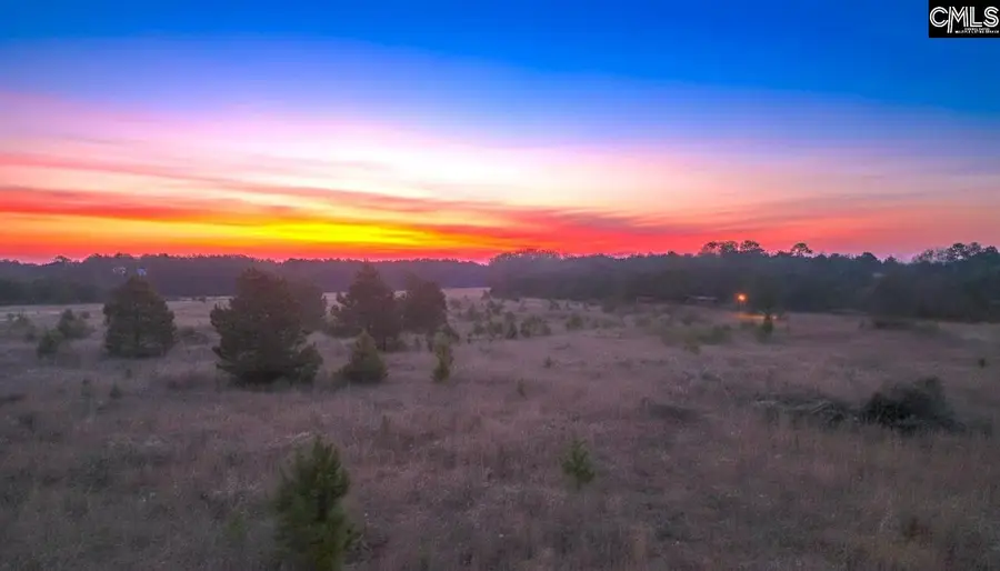 0 Athens Field Road, Swansea, SC 29160 - Image #2